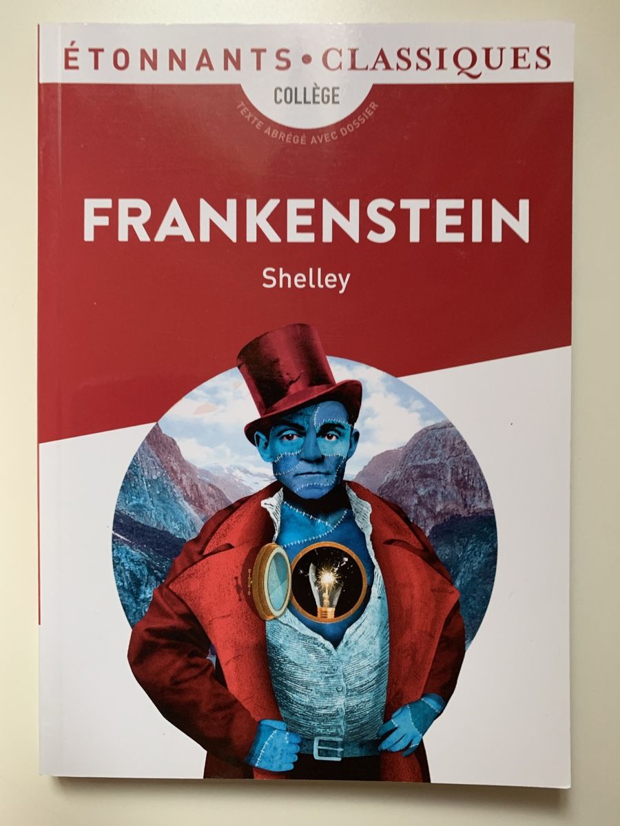 Libri: Mary Shelley, Frankenstein – Nuovo (secondo la descrizione) da Valeyres-sous-Ursins venduto da ansuz_001
