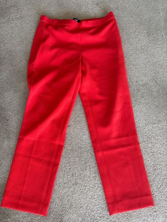 Theory Hose neu