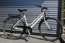 STOKE TRX Damenfahrrad 50cm 170 - 180