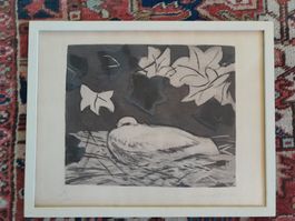 Schöne Tauben Lithografie - Signiert - von Heinrich Müller