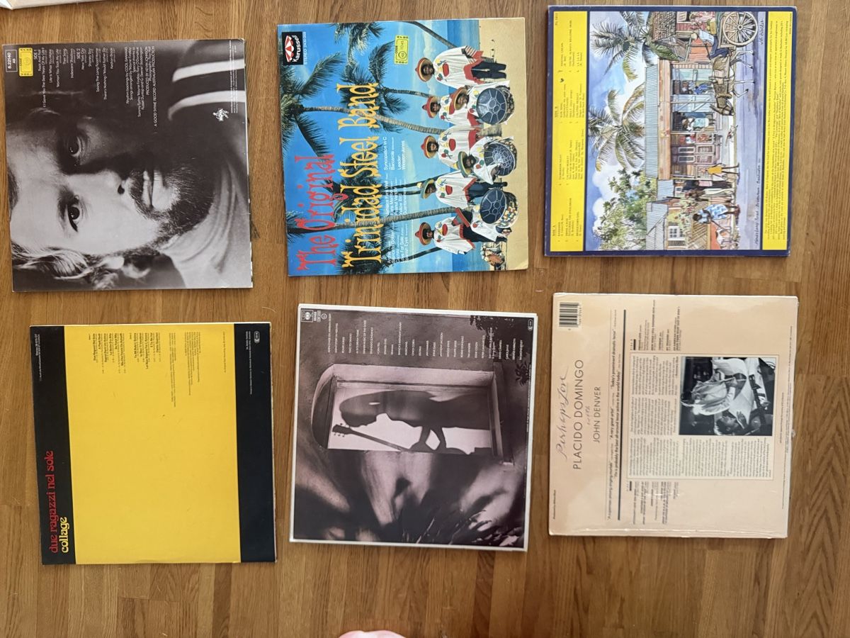 Dischi in vinile: Schallplatten Sammlung 12 Stck – Usato da Buchs ZH venduto da scarah 2