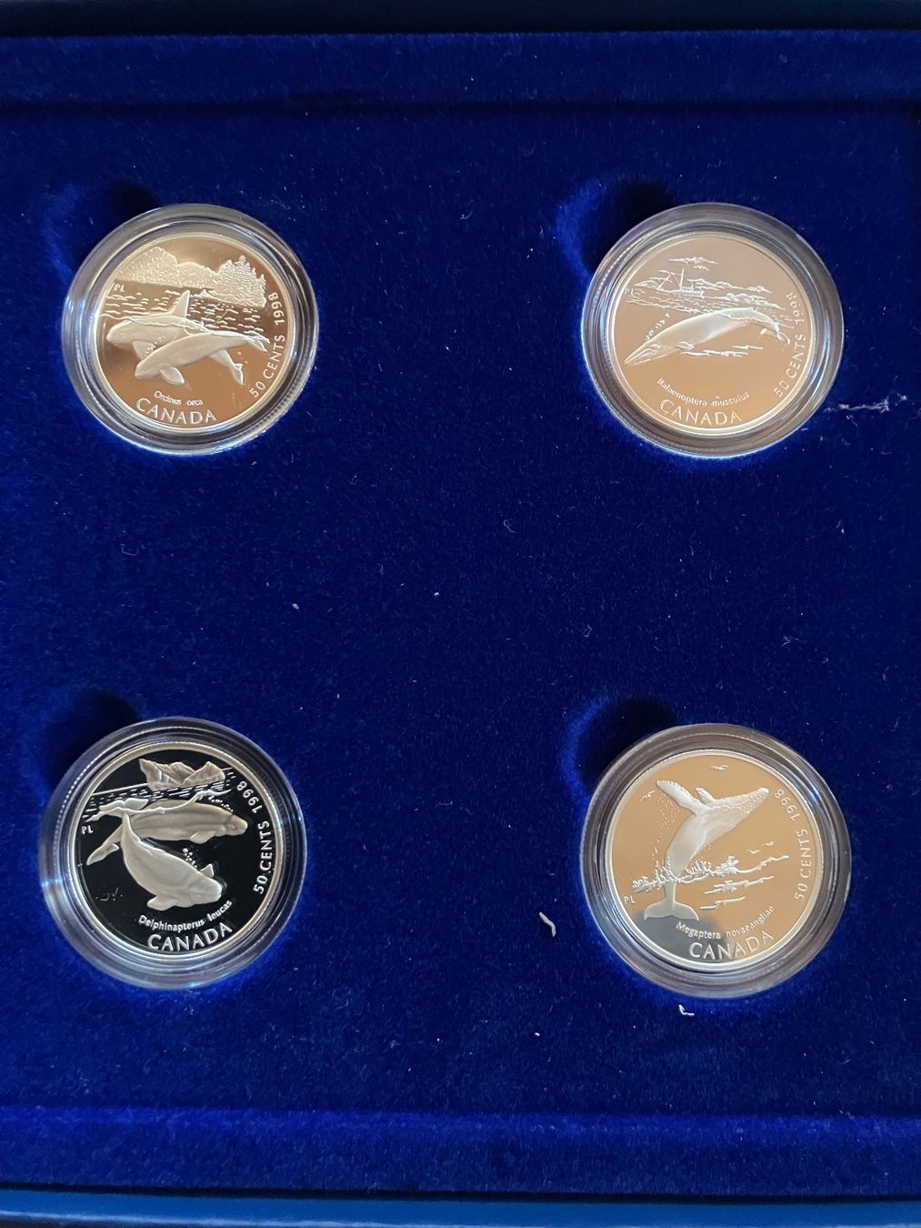 Tutti le monete: Top Münzlot  /  4  x  Silberdollars 1998 – Usato da untervaz venduto da Wingert 4