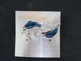 Paua Muschel Brosche