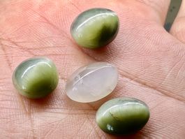 Chrysoberyll Katzenauge  4 Stück unbehandelt Cat's Eye 31 Ct
