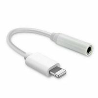 AUX Kopfhörer Adapter 3,5mm Klinke Audio iPhone lightning