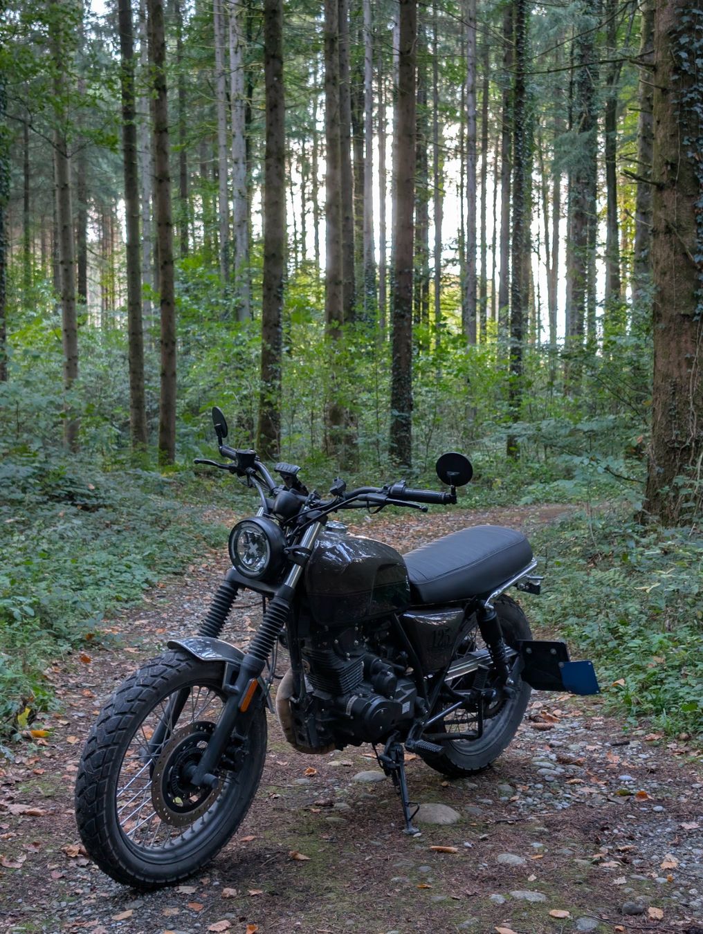 Brixton Motorcycles Strada: BRIXTON Cromwell 125 ABS – Usato da Büren an der Aare venduto da Luechti 1