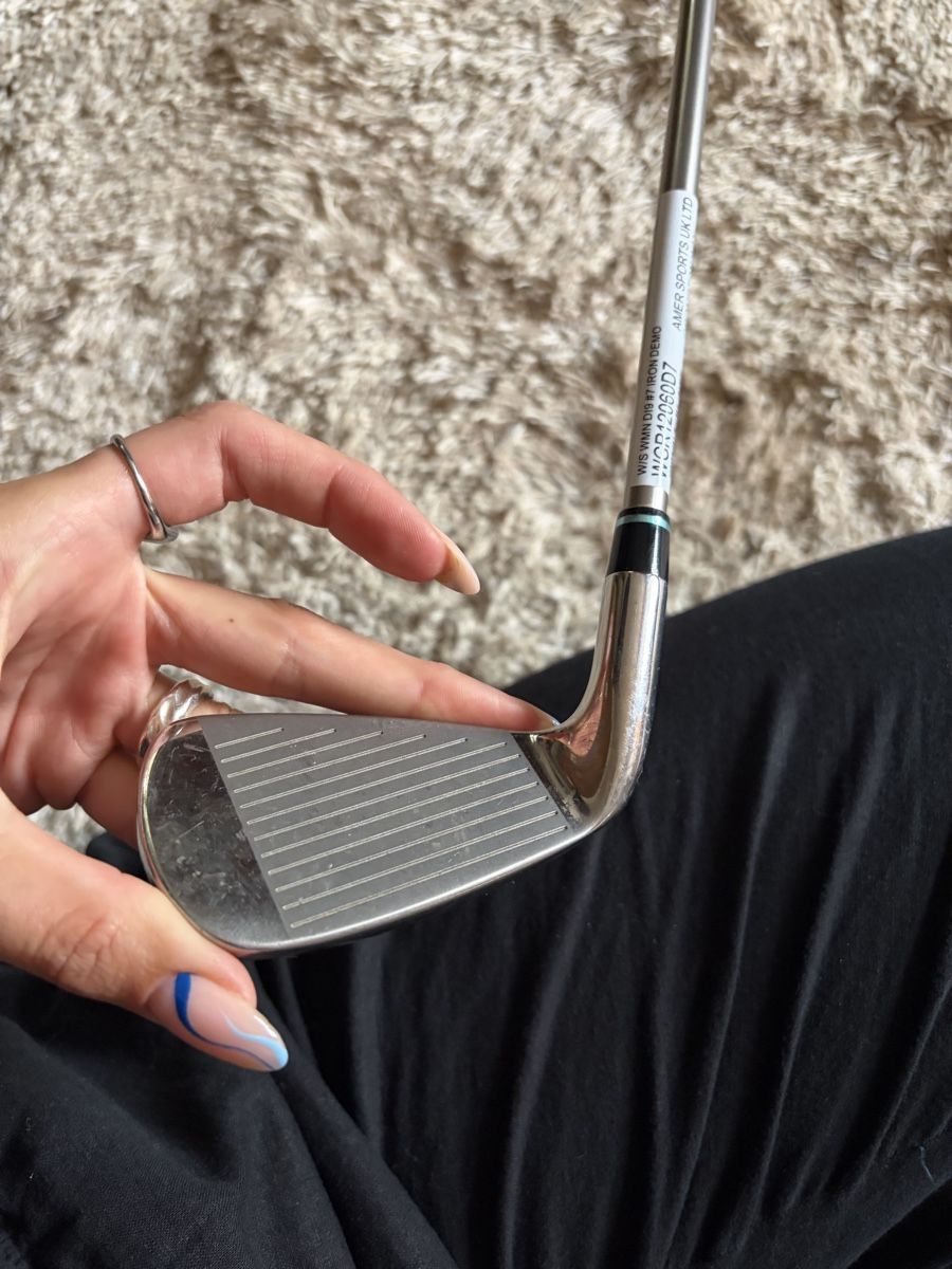 Mazze & Set: Wilson Staff Golfschläger Eisen – Usato da Winterthur venduto da rahelaminxa2 1
