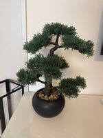 Kunstpflanze Bonsai
