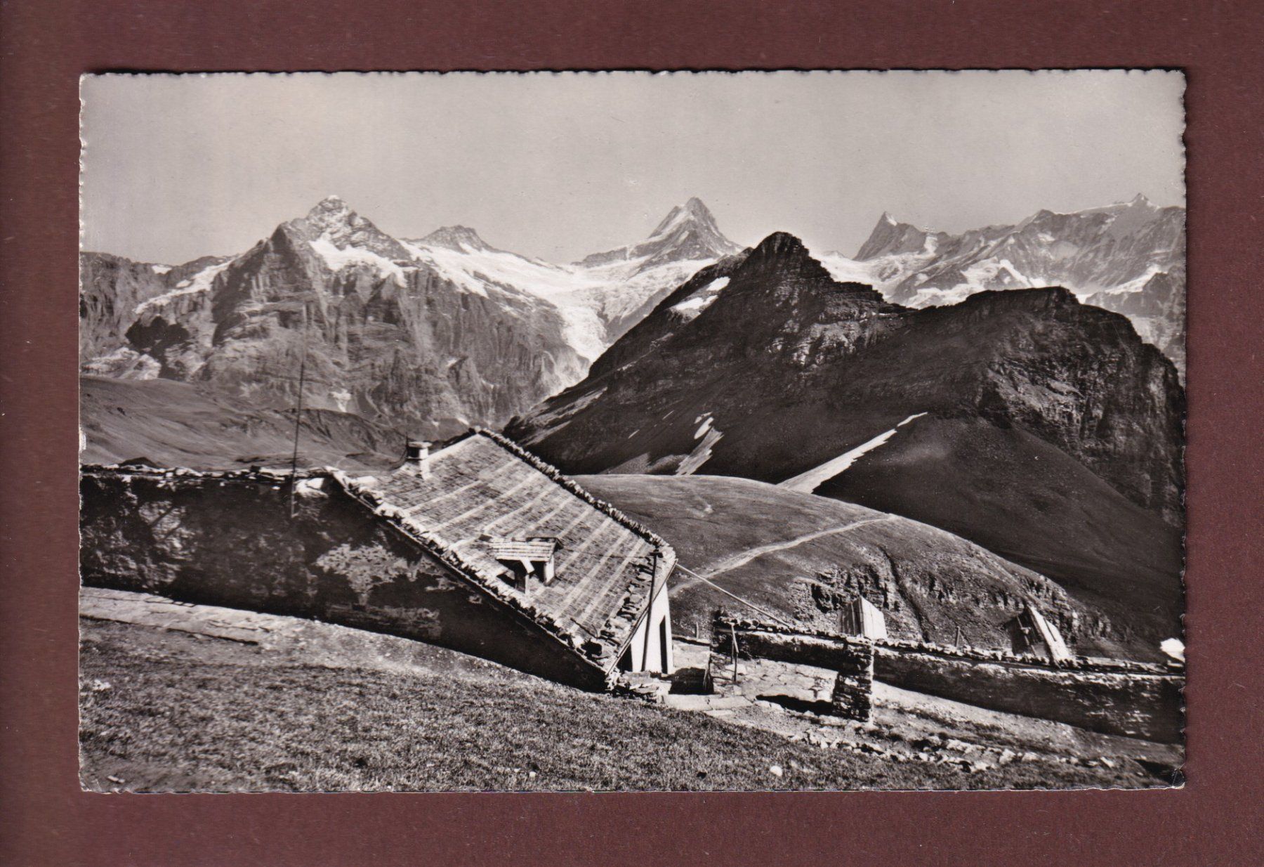 Cartes postales: FAULHORN - 1956 – D'occasion à Pully par nicecards-shop