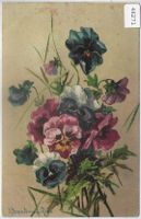 Stiefmütterchen - D. Dereninger-Roux - Litho