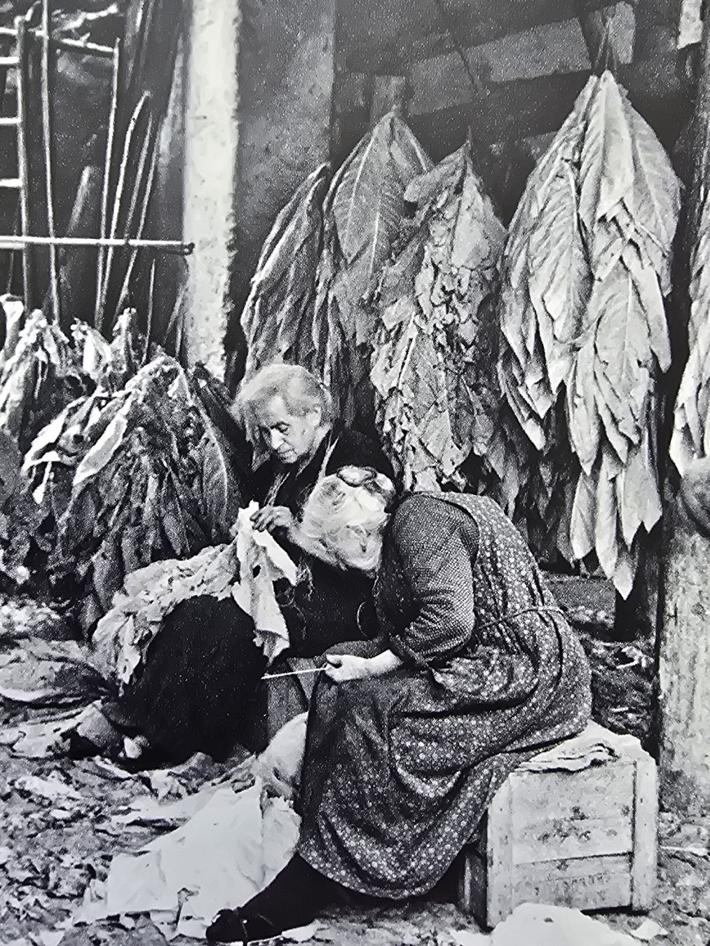 Livres: Gotthard Schuh Tessin – D'occasion à Hedingen par mickway 2
