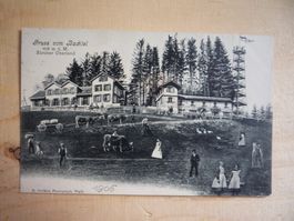 Gruss vom Bachtel, Zürcher Oberland, 16.VII.06
