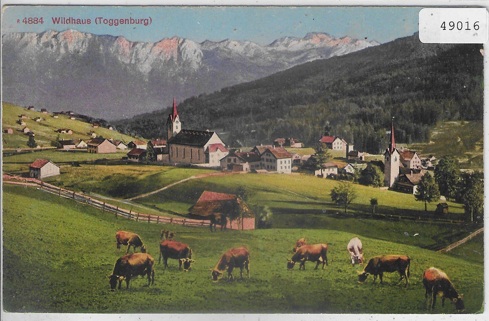 Cartoline postali: Wildhaus - Generalansicht - Kuhherde - Litho – Usato da Ettingen venduto da Kartenplanet