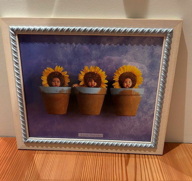 Foto & Immagini: Anne Geddes - Bild gerahmt - Glas – Nuovo (secondo la descrizione) da Zürich venduto da elsoca