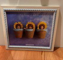 Anne Geddes - Bild gerahmt - Glas