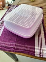 Tupperware Fleisch marinierer