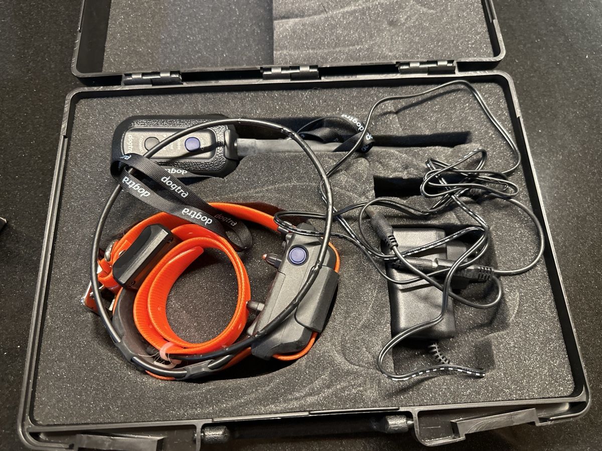 Altro in Accessori per animali: Dogtra Pathfinder GPS Tracking- und Trainingssystem orange – Usato da Altishofen venduto da dbi_m28m 2