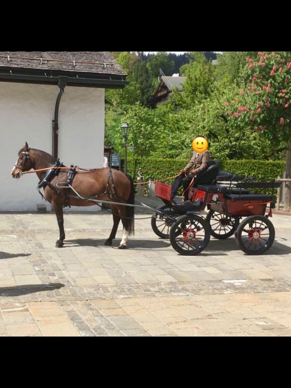 Calèches: Wagonette – D'occasion à saanen par saemi012 1