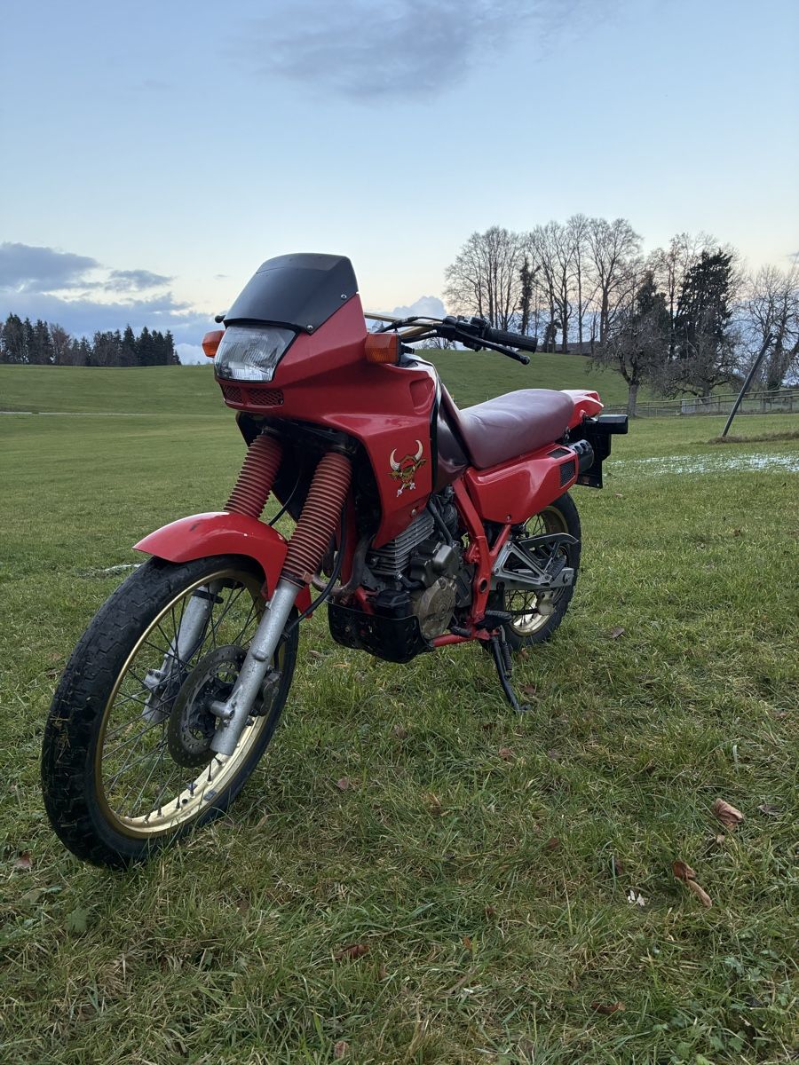 Enduro: Honda Dominator 650 – Usato da St. Gallen venduto da MarkoBoss