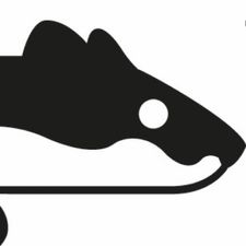 Profile image of stt01