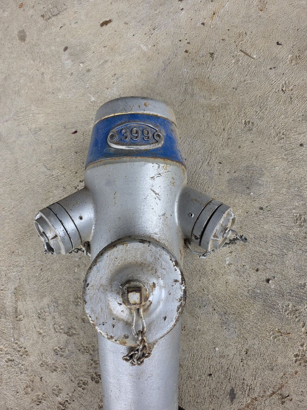 Tutte le decorazioni: Vintage Hydrant / Hydranten, Silber-Blau, Deko, – Difettoso da Ersigen venduto da Force01 3