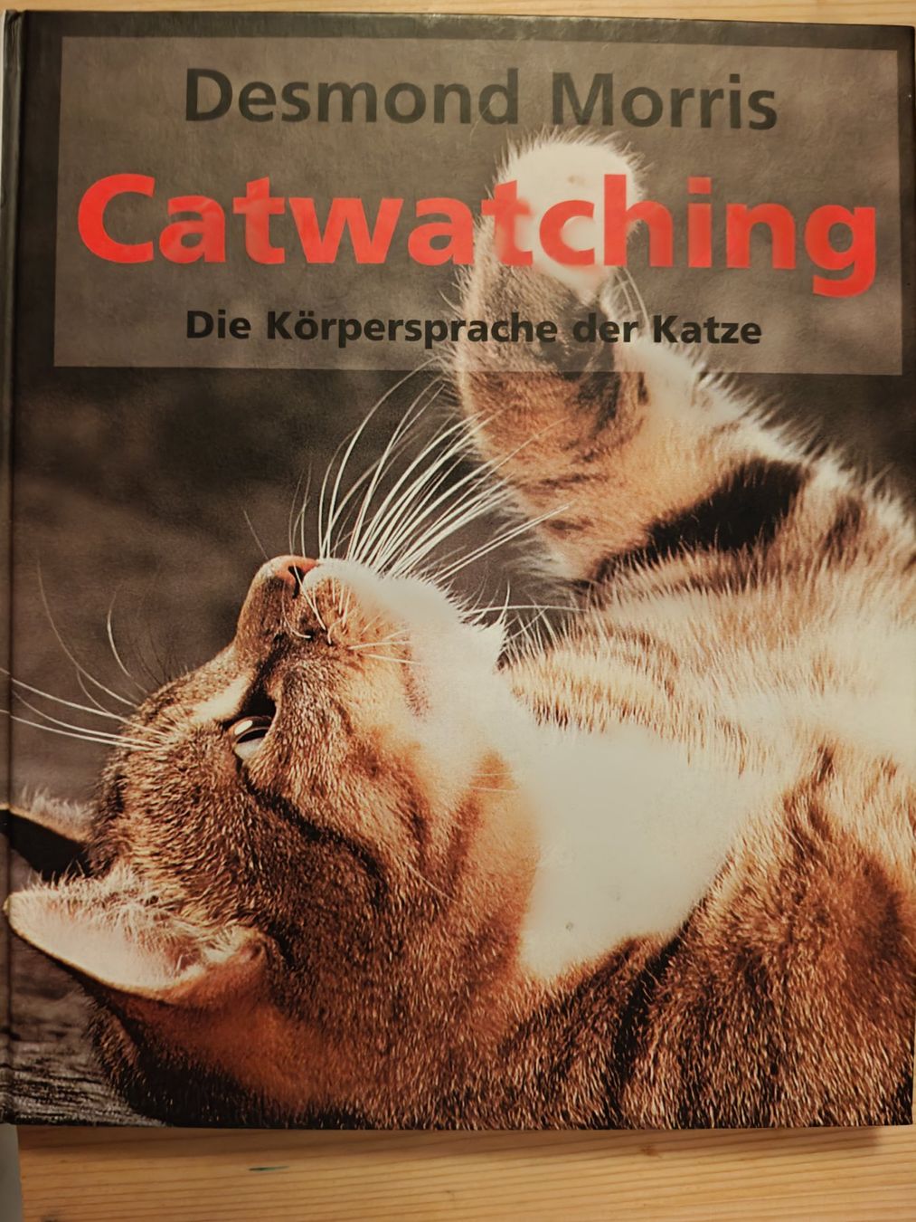 Libri: ° Catwatching - Körpersprache der Katze / Desmond Morris – Usato da Muttenz venduto da Negnuja