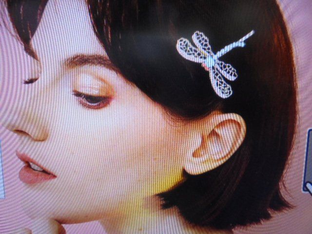 Accessori per capelli: 2 Libellen Haarschmuck – Nuovo (secondo la descrizione) da Hinwil venduto da Glasperlen 4