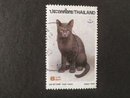 Thailand (-35%)- 1x Katze 1995