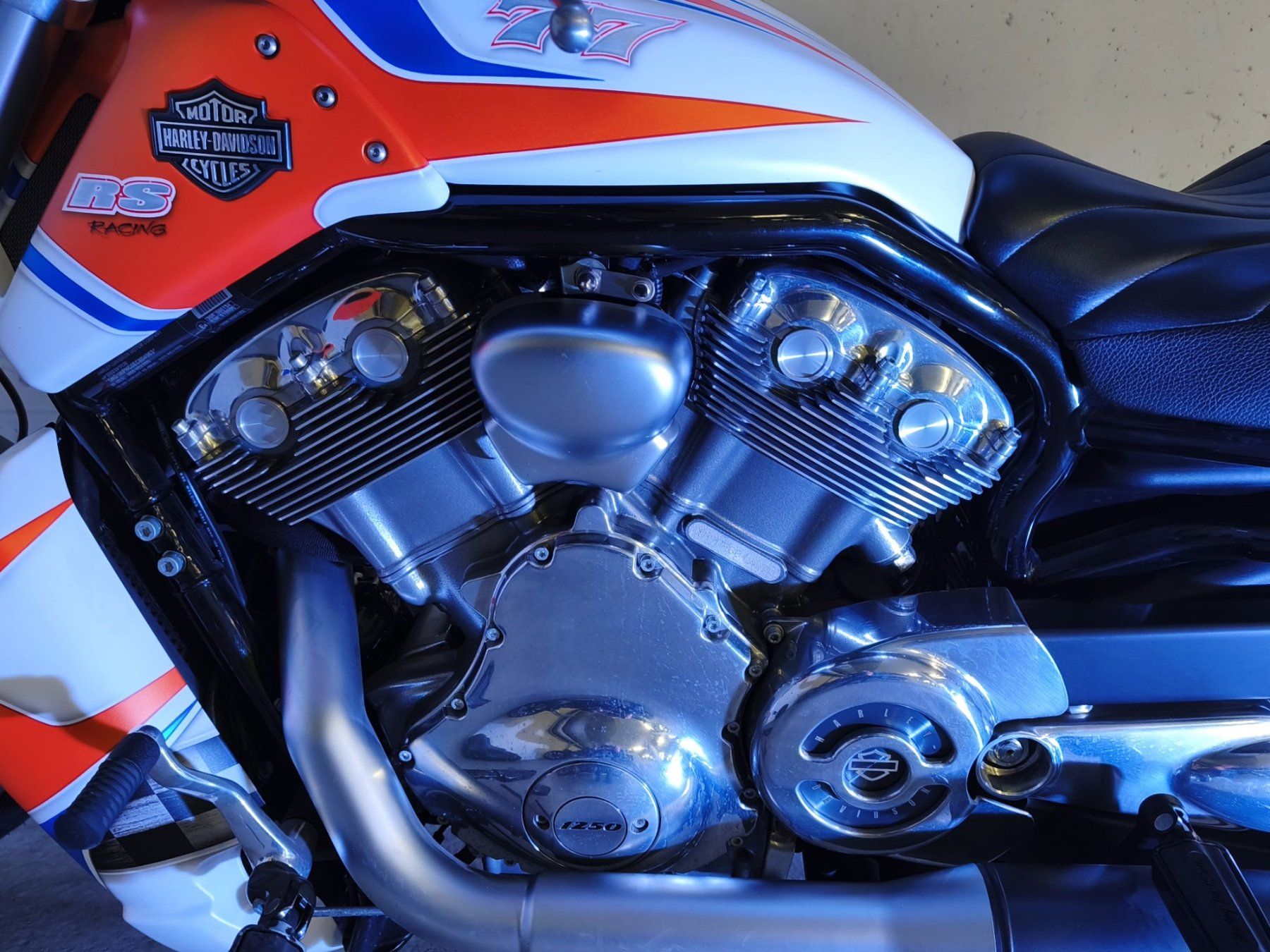Harley-Davidson Chopper: Harley Davidson V Rod Muscle – Usato da Romanshorn venduto da MOST_WANTED_Norbert 2