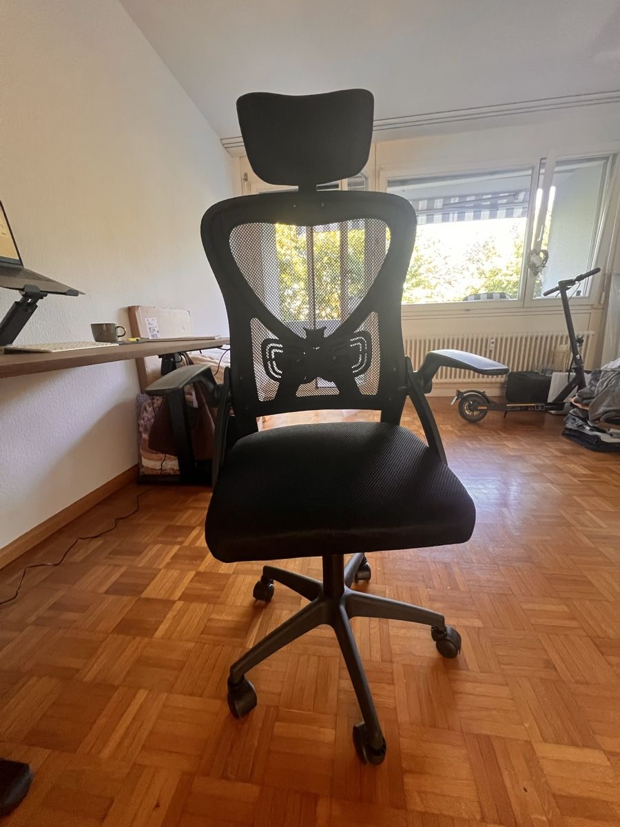 Sedie: Neuer ergonomischer Bürostuhl  – Nuovo (secondo la descrizione) da Arlesheim venduto da lea_m62d 2