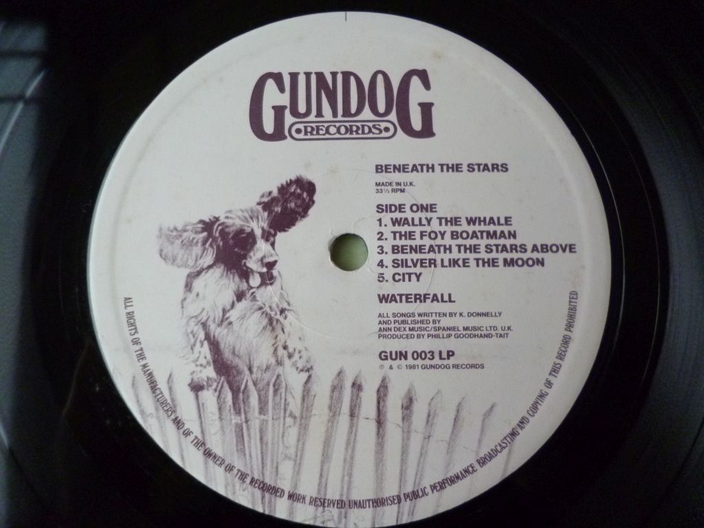 Dischi in vinile: Waterfall „Beneath the Stars“ – Usato da Emmenbrücke venduto da Dickens 3