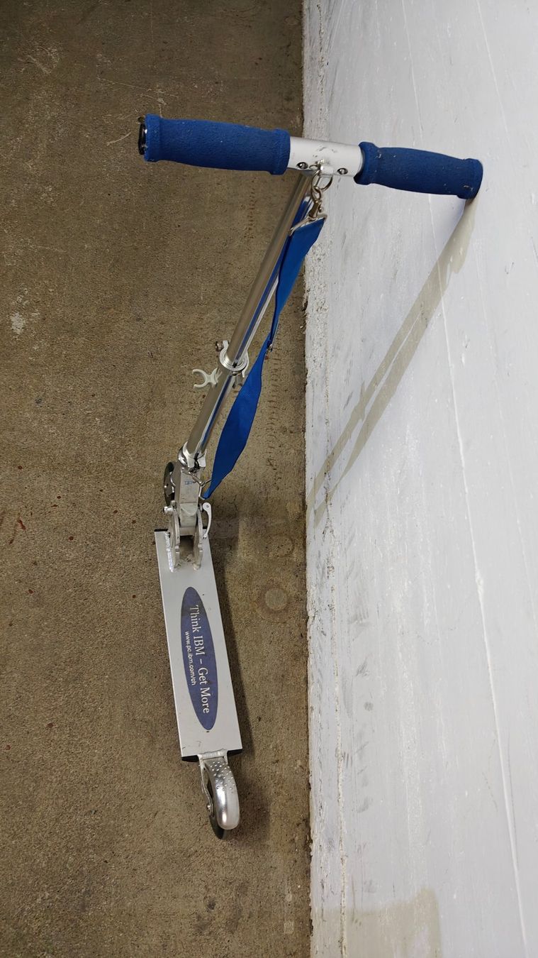 Kickboard: Tretroller – Usato da Däniken SO venduto da Endelhof 2