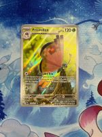 Prismillon AR - SSP 193 FR