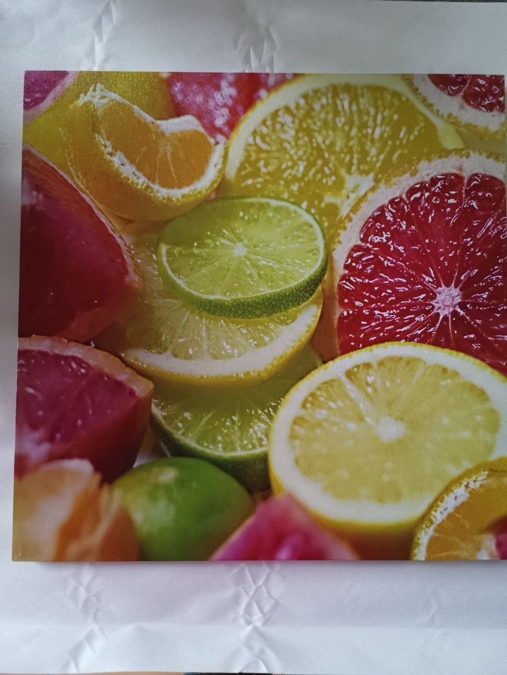 Poster & Bilder: Bild Zitrusfrüchte 40 x 40cm – Gebraucht aus Kleinandelfingen von jessi2209