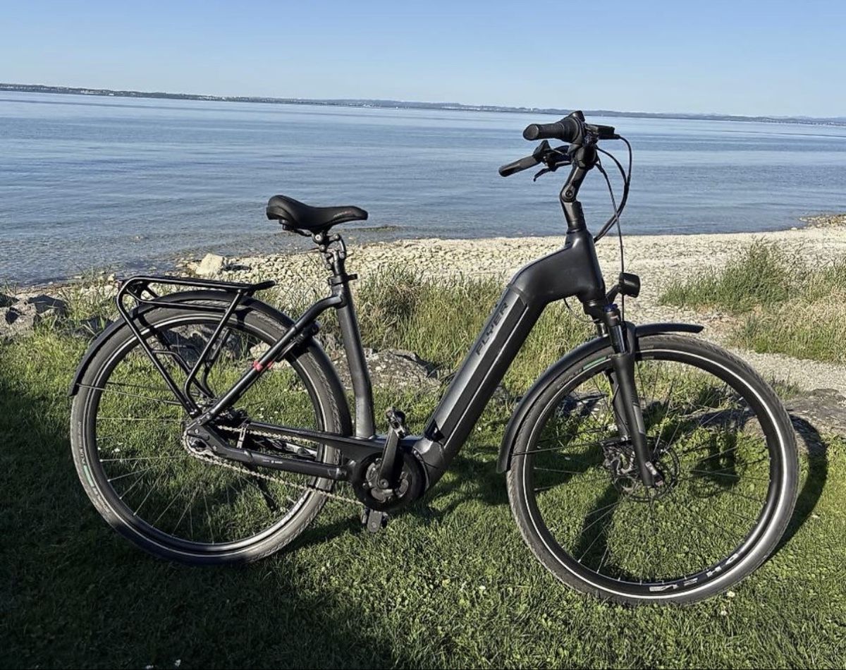 Flyer Vélos: FLYER Gotouer 2E  – D'occasion à Uttwil par and_jv28 1