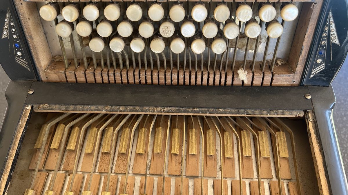 Strumenti musicali: Prima Voce Diatonisch Sammler Stück – Usato da Rothrist venduto da Tessin1973 9