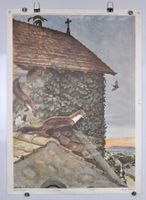 Schulwandbild Steinmarder - Marder R. Hainard