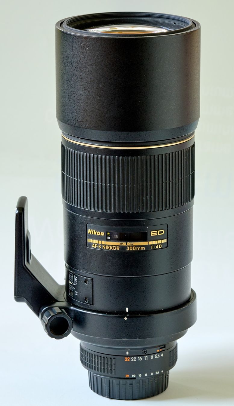 Nikon Objektive: Nikon AF-S Nikkor 300mm 1:4D ED – Gebraucht aus Flaach von gol_xrt5