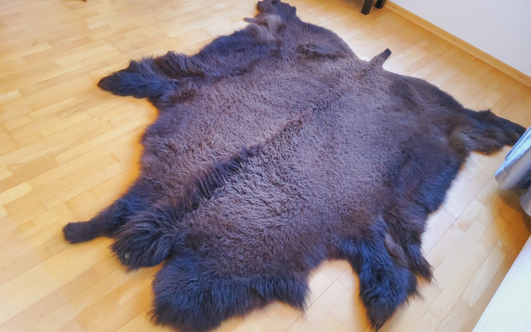 Monde des animaux: BisonFell (Echt) – Neuf (Voir description) à Ruggell par Tim-Werk 7