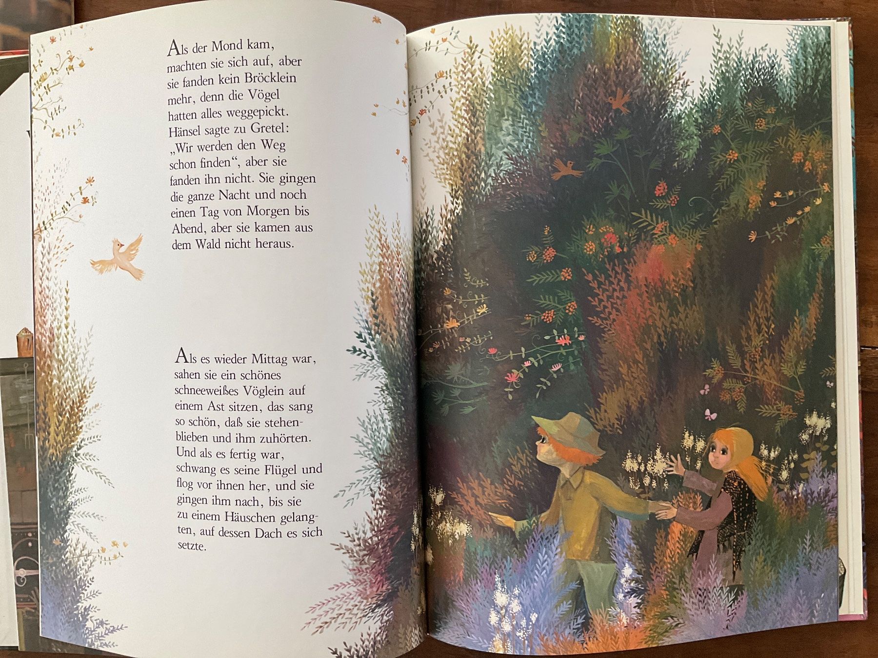 Libri: Hänsel et Gretel Bernadette, – Usato da Avenches venduto da Lactobacille 1