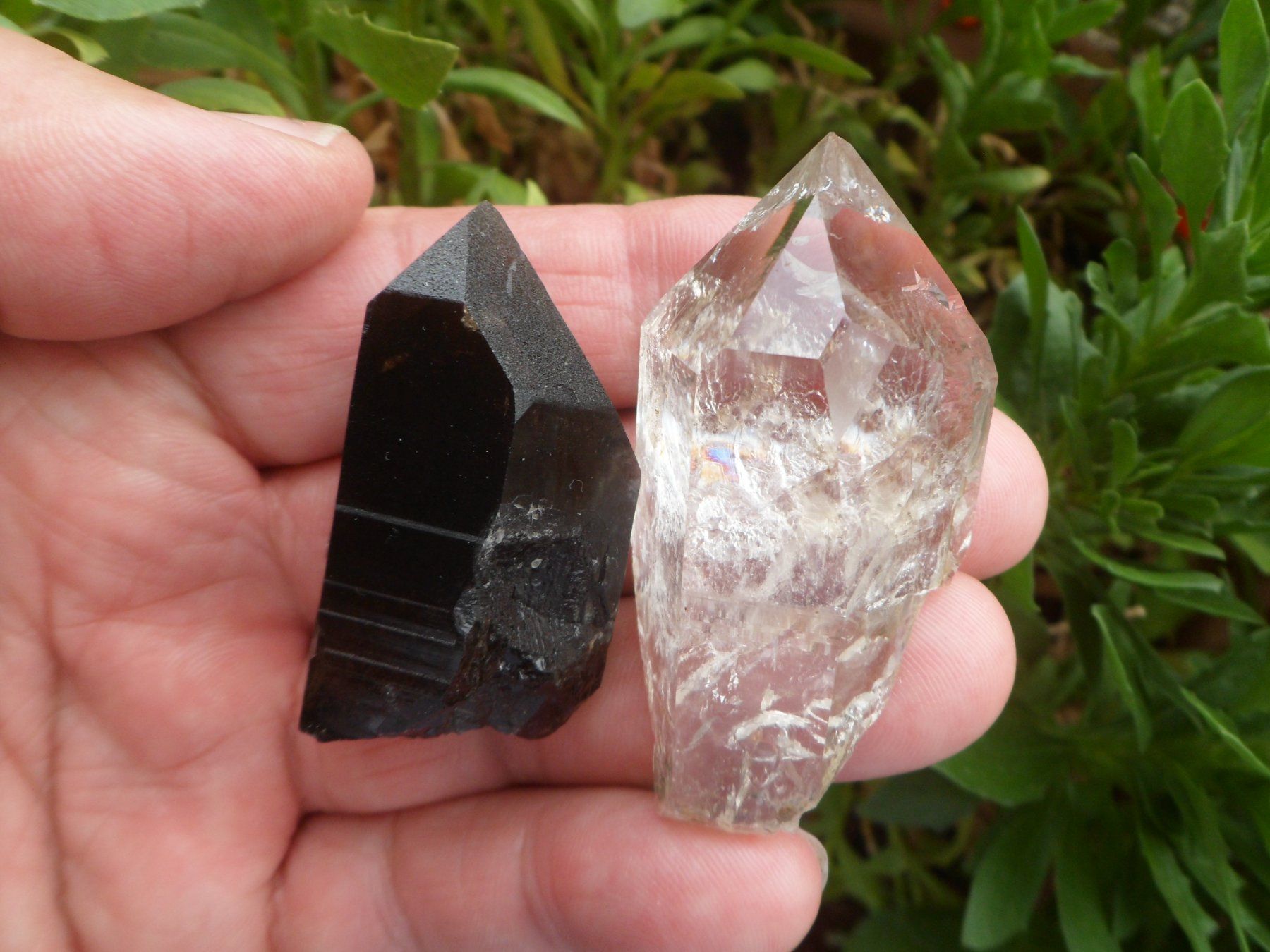Minerali & Pietre curative: Morion + Bergkristall Schweiz – Usato da Affoltern am Albis venduto da Fossil60 4