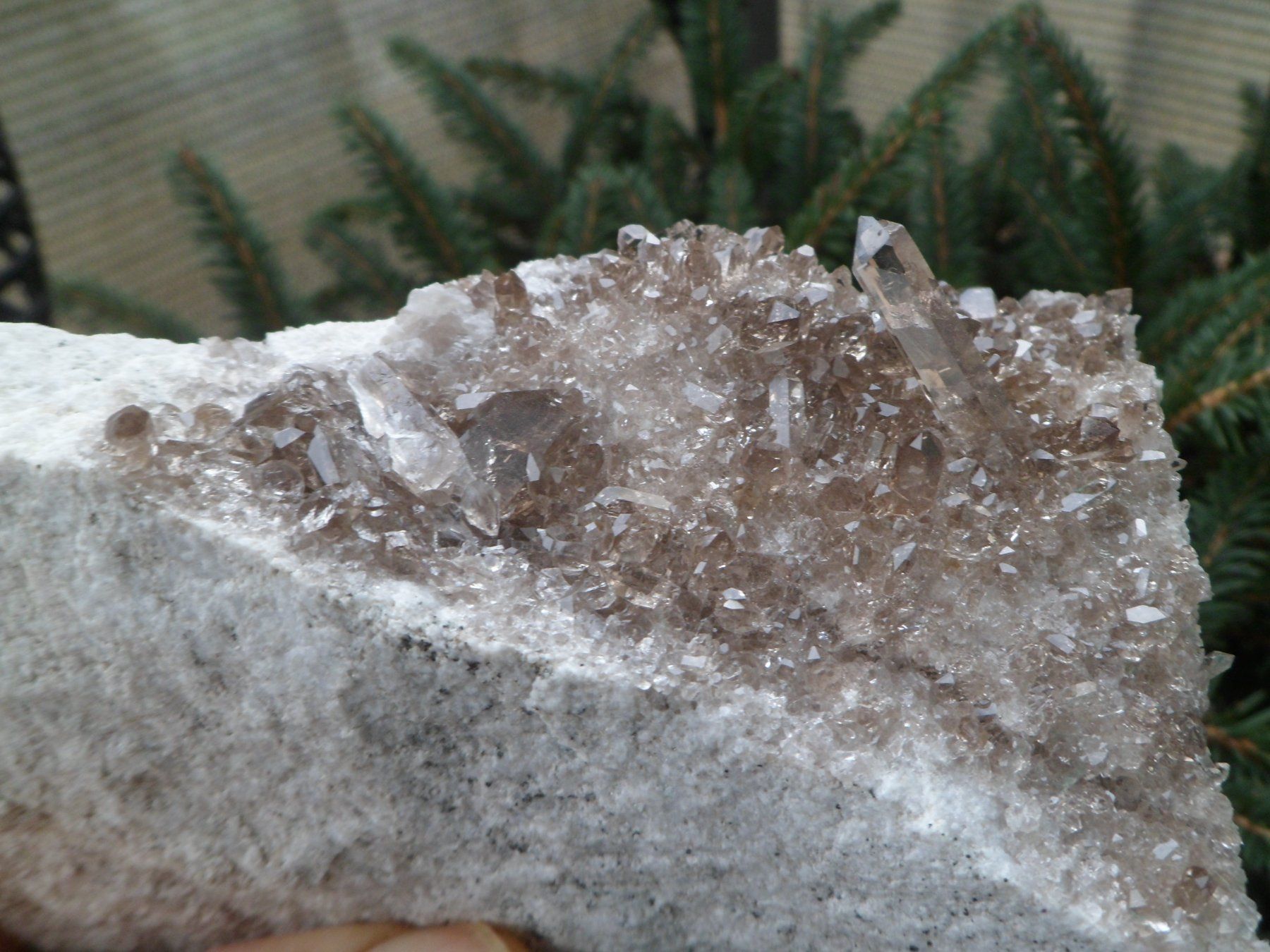 Minerali & Pietre curative: Rauchquarz auf 2 Seiten. Schweiz – Usato da Affoltern am Albis venduto da Fossil60 5