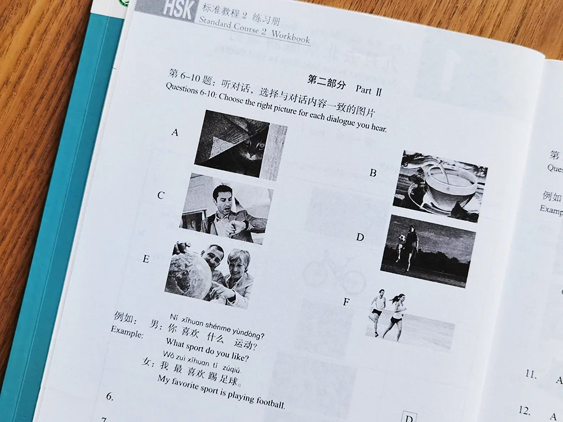 Libri: HSK Standard Course Workbook 1-6 Chinesisch Lernbuch – Nuovo e nell'imballaggio originale da Rickenbach b. Wil venduto da Sunbeam_7 9