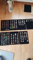Pin Sammlung, 169 Stk. mit Ordner