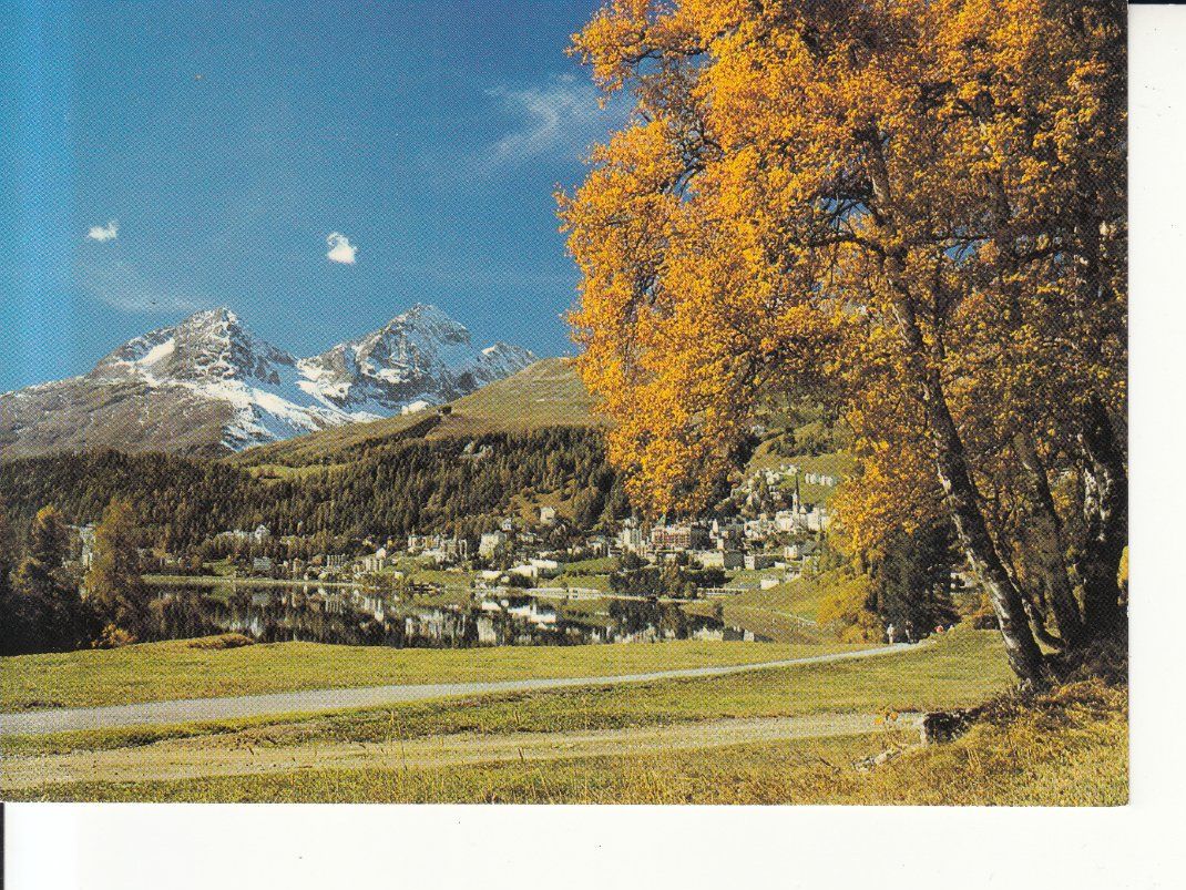 Cartoline postali: St. Moritz 1984 – Usato da Bürglen TG venduto da StampGraf