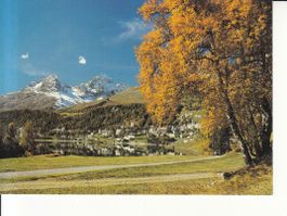 St. Moritz 1984
