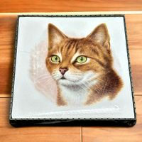 Dessous de Plat Carreau Faience de GIEN Série Chat année 60