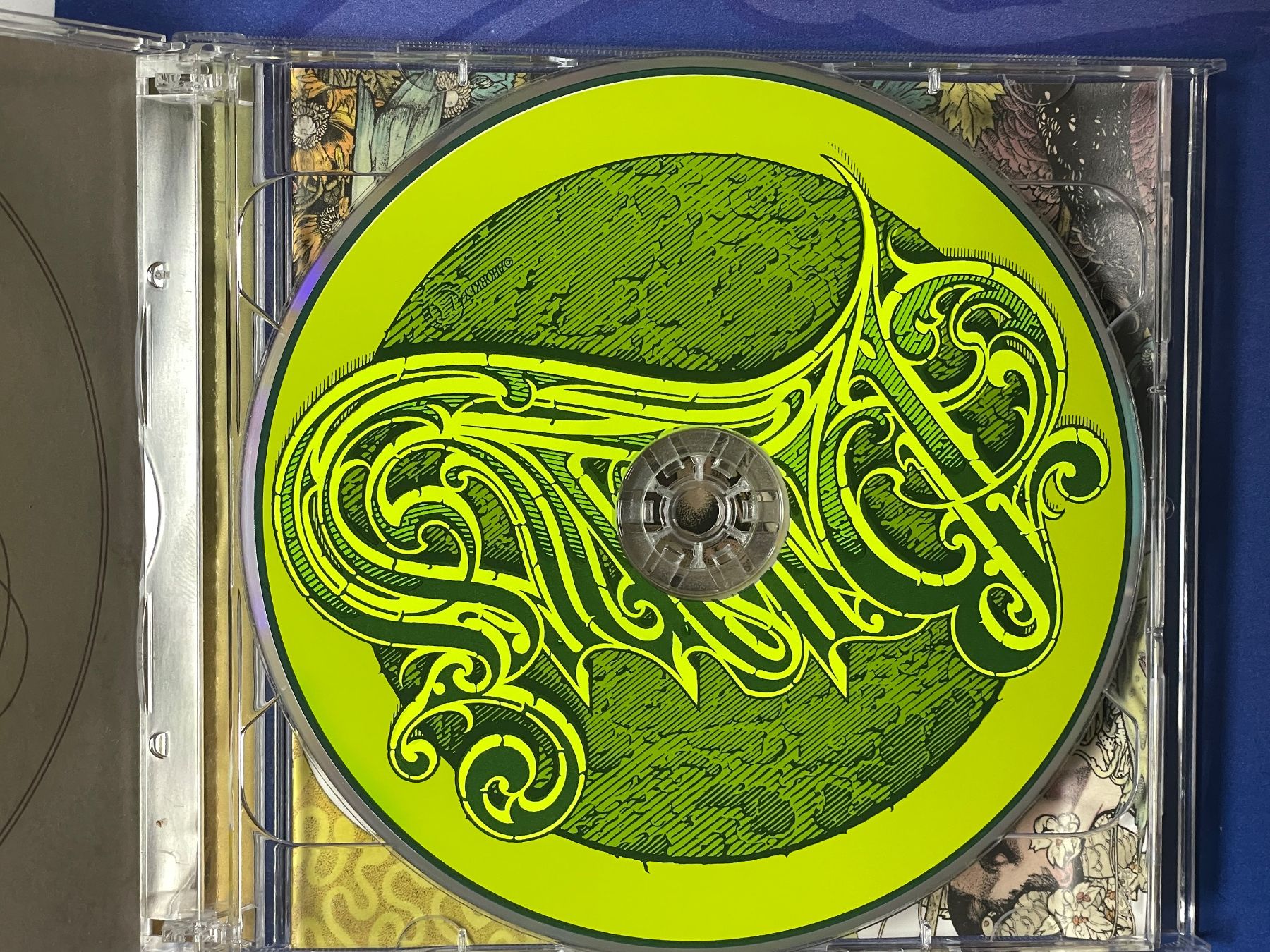 CD: Baroness - Yellow & Green - Stoner Prog – Usato da Muri b. Bern venduto da AdidasCollector 4