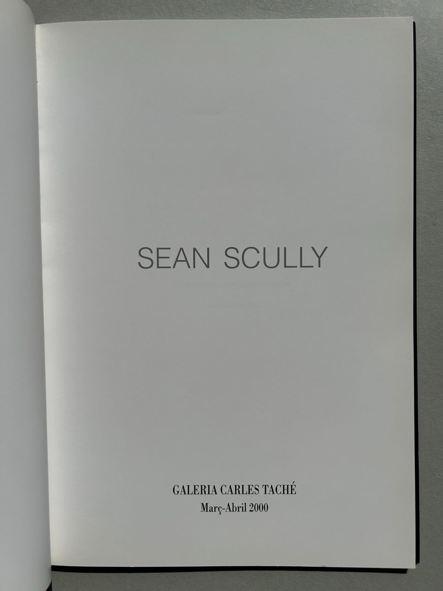 Bücher: Sean Scully - Variaciones Sobre La Abstracción – Gebraucht aus Zürich von lesgarcons 1