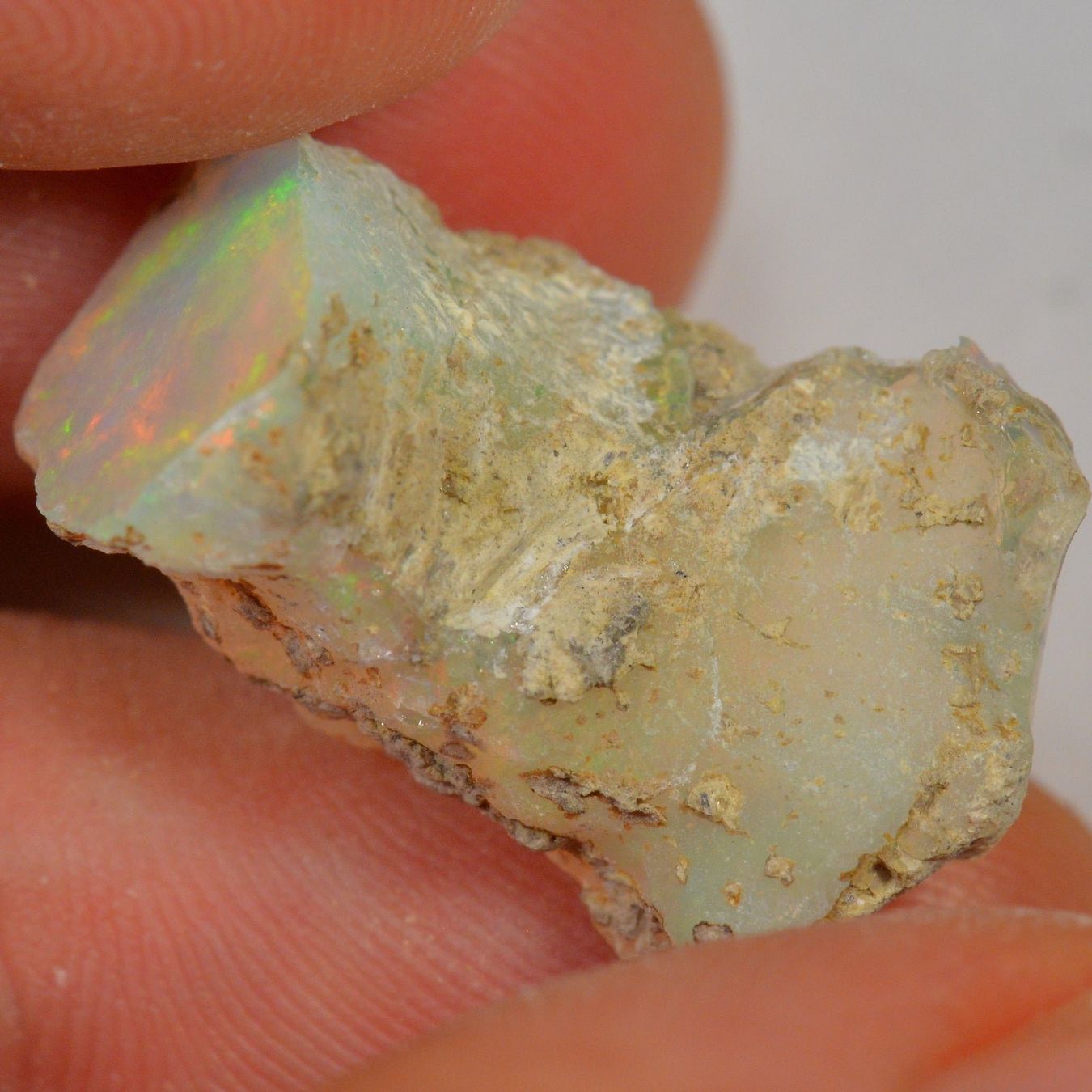 Pietre preziose: 15.8 Karat - Roher Äthiopischer Welo Opal – Nuovo (secondo la descrizione) da Rüti ZH venduto da DeinOpal 1